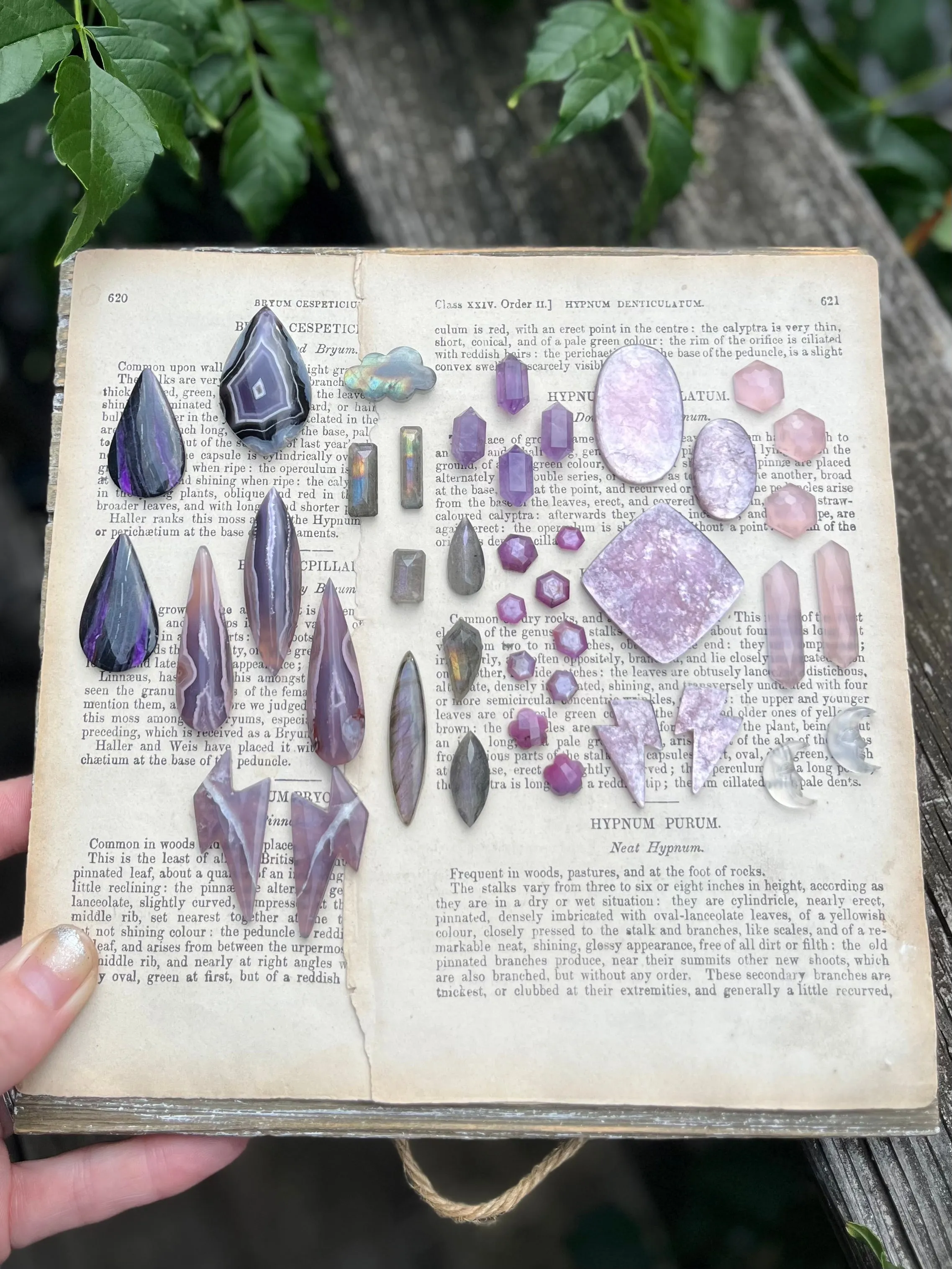 Elongated Chalcedony Feather Necklace