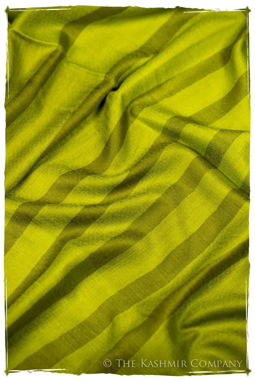 The Hawick - Handloom Pashmina Cashmere Scarf